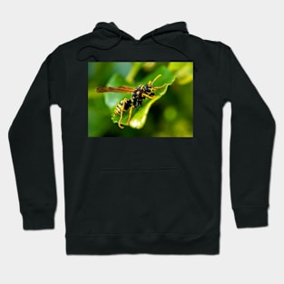 Wasp on a Leaf Hoodie